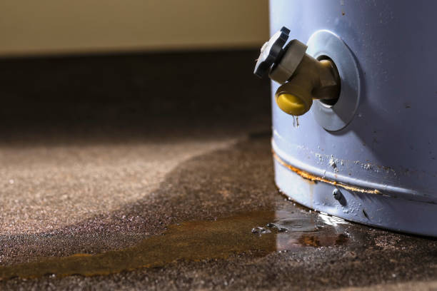 Best Residential water damage restoration  in Danbury, CT