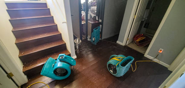 Best Carpet water damage restoration  in Danbury, CT