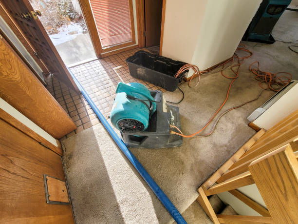 Best Flood damage cleanup  in Danbury, CT