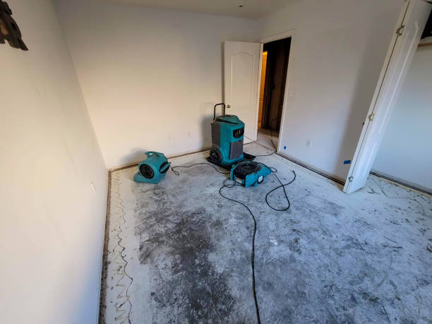 Best Flood restoration services  in Danbury, CT