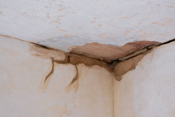Best Water damage contractors near me  in Danbury, CT
