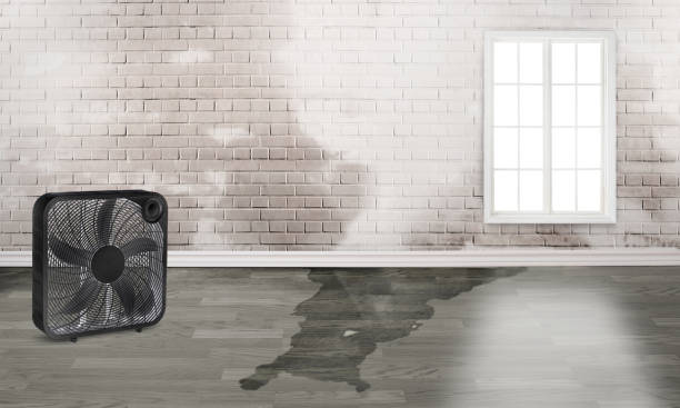 Best Water damage restoration cost  in Danbury, CT