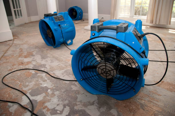 Best 24-hour water damage restoration  in Danbury, CT