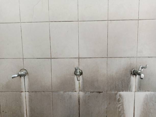 Best Flood restoration services  in Danbury, CT