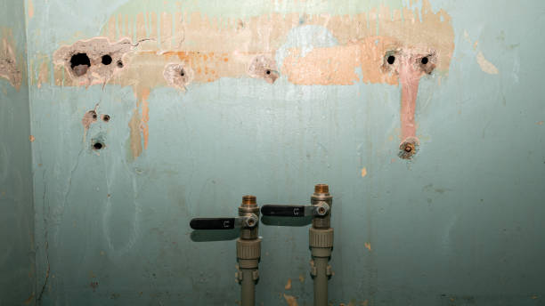 Best Residential water damage restoration  in Danbury, CT
