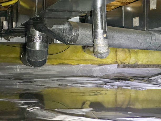 Best Mold removal after water damage  in Danbury, CT