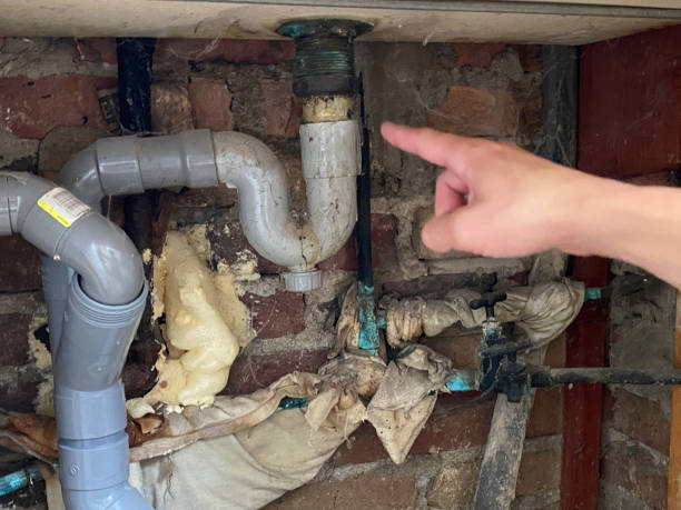 Best Water damage cleanup near me  in Danbury, CT