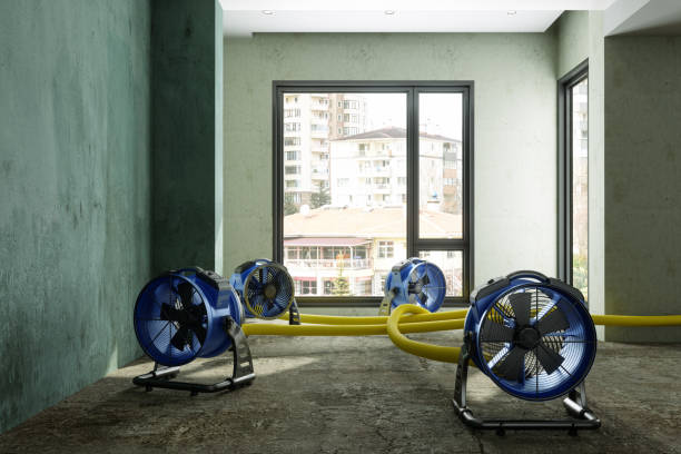 Best 24-hour water damage restoration  in Danbury, CT
